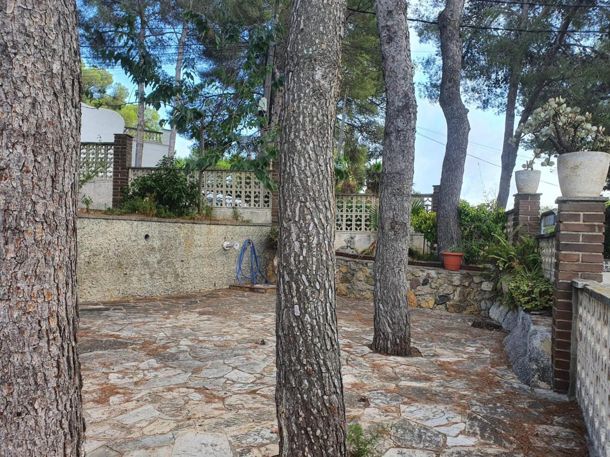 Cerca A La Playa Con Jardin Y Barbacoa Holiday home